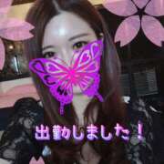 ヒメ日記 2025/03/22 06:24 投稿 香織(かおり) Chaleur (シャルール)