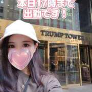 ヒメ日記 2025/07/24 11:19 投稿 香織(かおり) Chaleur (シャルール)