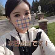 ヒメ日記 2025/10/24 08:39 投稿 香織(かおり) Chaleur (シャルール)