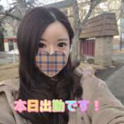 ヒメ日記 2026/04/26 14:22 投稿 香織(かおり) Chaleur (シャルール)