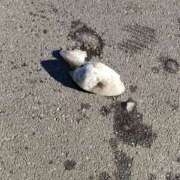 ヒメ日記 2025/02/07 16:03 投稿 のえる モアグループ 土浦人妻花壇