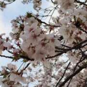 ヒメ日記 2025/04/05 20:06 投稿 のえる モアグループ 土浦人妻花壇