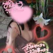 ヒメ日記 2025/04/11 06:51 投稿 のえる モアグループ 土浦人妻花壇