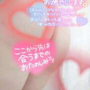 ヒメ日記 2025/04/15 11:36 投稿 のえる モアグループ 土浦人妻花壇