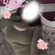 ヒメ日記 2025/04/26 08:42 投稿 のえる モアグループ 土浦人妻花壇