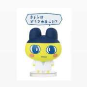 ヒメ日記 2025/04/13 16:49 投稿 つきひ 札幌しこたまクリニック