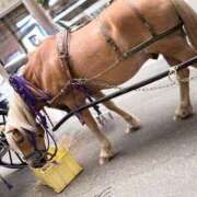 ヒメ日記 2025/06/16 23:29 投稿 つきひ 札幌しこたまクリニック