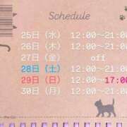 ヒメ日記 2025/06/23 19:49 投稿 つきひ 札幌しこたまクリニック