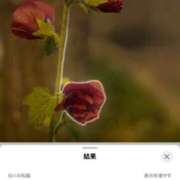 ヒメ日記 2025/07/22 16:59 投稿 つきひ 札幌しこたまクリニック