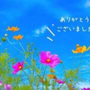 ヒメ日記 2024/11/19 17:16 投稿 りさ 奥様鉄道69 仙台店