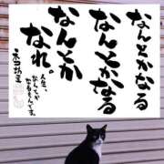 ヒメ日記 2025/03/16 17:30 投稿 ひな 佐世保人妻デリヘル「デリ夫人」