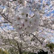 ヒメ日記 2025/04/04 11:39 投稿 ひな 佐世保人妻デリヘル「デリ夫人」