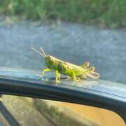 ヒメ日記 2025/09/03 10:01 投稿 ひな 佐世保人妻デリヘル「デリ夫人」