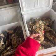 ヒメ日記 2026/02/15 22:07 投稿 ひな 佐世保人妻デリヘル「デリ夫人」