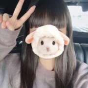 ヒメ日記 2025/04/12 15:22 投稿 はるか クラスメイト