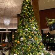 ヒメ日記 2024/12/09 19:10 投稿 なる 錦糸町ティラミス（シンデレラグループ）