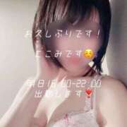 ヒメ日記 2025/01/16 16:23 投稿 ここみ 吉祥寺大人めシンデレラ（シンデレラグループ）