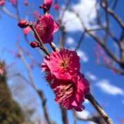 ヒメ日記 2025/02/27 11:35 投稿 柘植いぶき 全裸の極みorドッキング痴漢電車