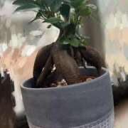 ヒメ日記 2025/03/06 17:15 投稿 柘植いぶき 全裸の極みorドッキング痴漢電車