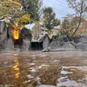 ヒメ日記 2025/04/07 11:55 投稿 柘植いぶき 全裸の極みorドッキング痴漢電車