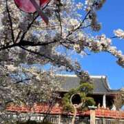 ヒメ日記 2025/04/11 13:12 投稿 柘植いぶき 全裸の極みorドッキング痴漢電車