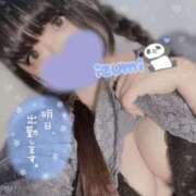 ヒメ日記 2024/12/26 20:31 投稿 いずみ ちゃんこ幕張店