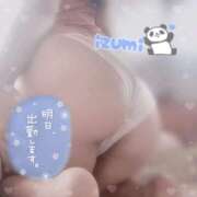 ヒメ日記 2025/01/06 21:31 投稿 いずみ ちゃんこ幕張店