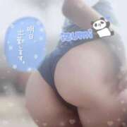 ヒメ日記 2025/01/29 20:31 投稿 いずみ ちゃんこ幕張店