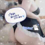 ヒメ日記 2025/03/20 12:27 投稿 いずみ ちゃんこ幕張店