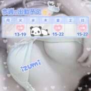 ヒメ日記 2025/03/23 19:01 投稿 いずみ ちゃんこ幕張店