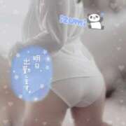 ヒメ日記 2025/03/27 21:02 投稿 いずみ ちゃんこ幕張店