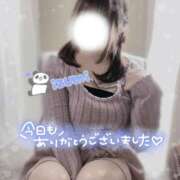 ヒメ日記 2025/03/31 00:16 投稿 いずみ ちゃんこ幕張店