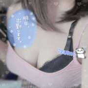 ヒメ日記 2025/03/31 22:06 投稿 いずみ ちゃんこ幕張店