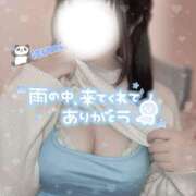 ヒメ日記 2025/04/01 22:56 投稿 いずみ ちゃんこ幕張店