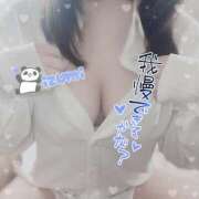 ヒメ日記 2025/04/03 20:26 投稿 いずみ ちゃんこ幕張店