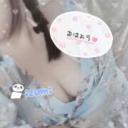 ヒメ日記 2025/04/04 07:30 投稿 いずみ ちゃんこ幕張店