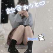 ヒメ日記 2025/04/05 10:02 投稿 いずみ ちゃんこ幕張店