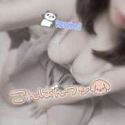 ヒメ日記 2025/04/07 19:46 投稿 いずみ ちゃんこ幕張店