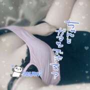 ヒメ日記 2025/04/10 07:46 投稿 いずみ ちゃんこ幕張店