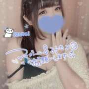 ヒメ日記 2025/04/13 13:56 投稿 いずみ ちゃんこ幕張店