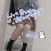 ヒメ日記 2025/04/14 21:44 投稿 いずみ ちゃんこ幕張店