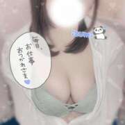 ヒメ日記 2025/04/15 12:56 投稿 いずみ ちゃんこ幕張店