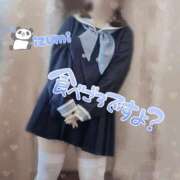 ヒメ日記 2025/04/19 12:32 投稿 いずみ ちゃんこ幕張店