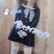 ヒメ日記 2025/04/19 12:46 投稿 いずみ ちゃんこ幕張店