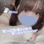 ヒメ日記 2025/04/20 12:30 投稿 いずみ ちゃんこ幕張店