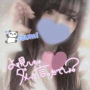 ヒメ日記 2025/04/22 08:01 投稿 いずみ ちゃんこ幕張店