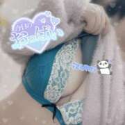 ヒメ日記 2025/04/23 12:26 投稿 いずみ ちゃんこ幕張店