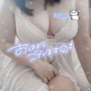 ヒメ日記 2025/04/26 08:02 投稿 いずみ ちゃんこ幕張店