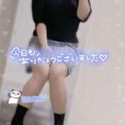 ヒメ日記 2025/04/29 02:30 投稿 いずみ ちゃんこ幕張店