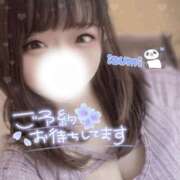 ヒメ日記 2025/04/29 08:02 投稿 いずみ ちゃんこ幕張店